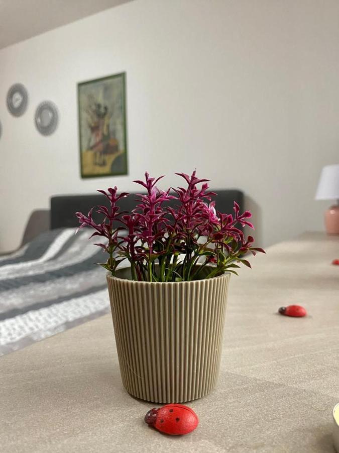 Cozy Apartment Ladybug, Sarajevo Saraievo Exterior foto